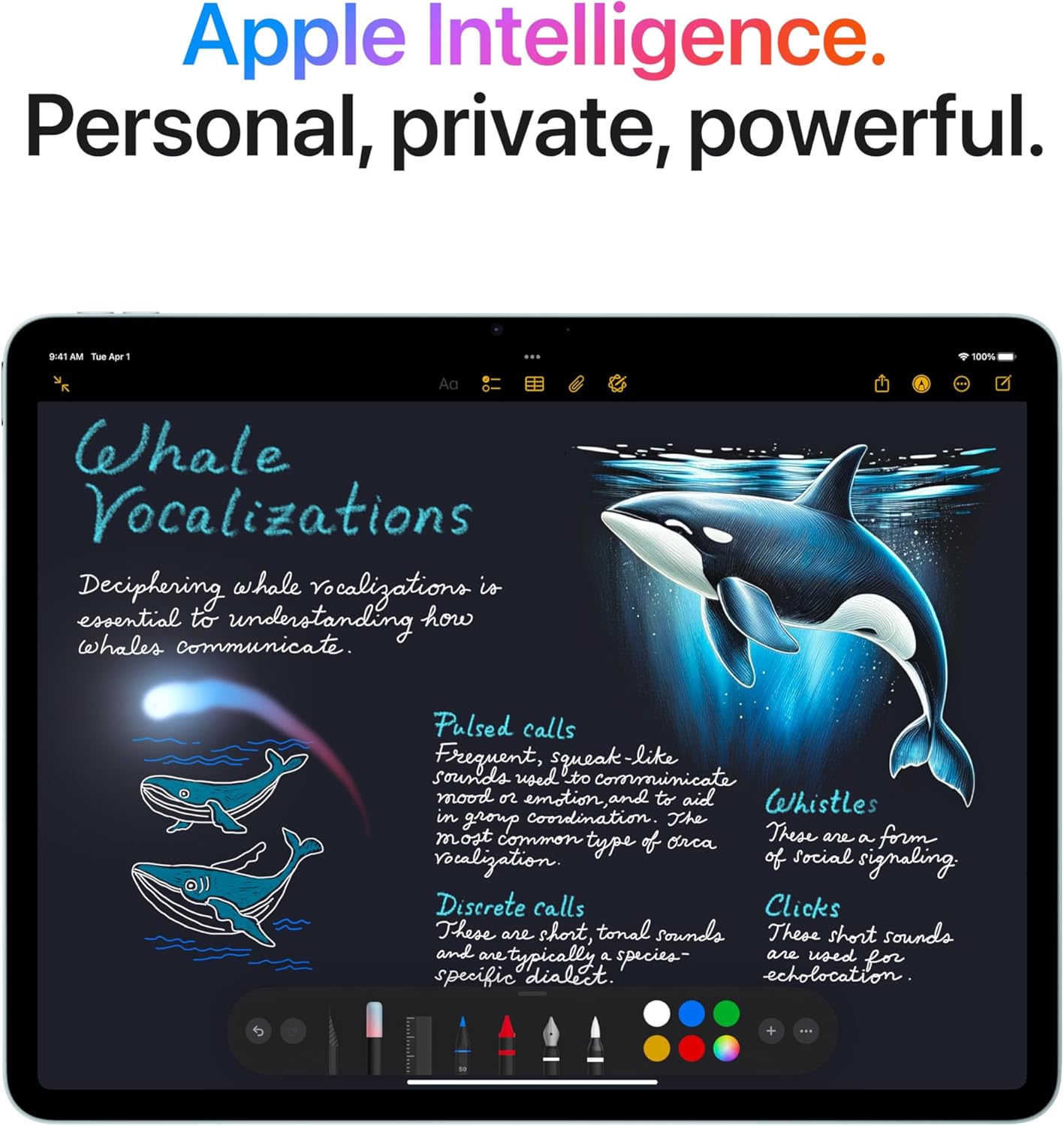 Apple iPad Air – Autorisation de dédouanement